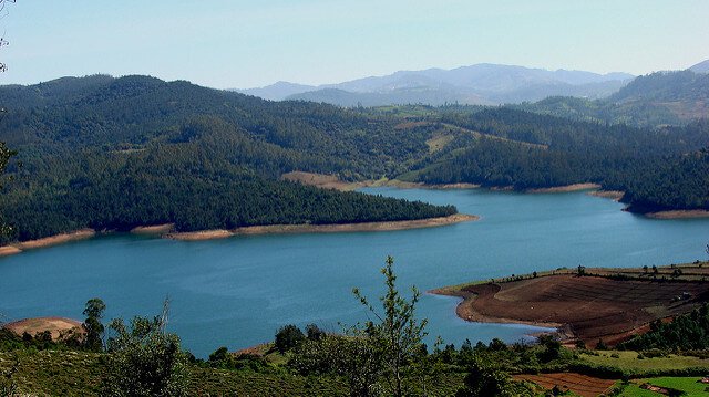 Emerald Lake in Ooty | Best Places to Visit in India in January